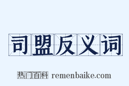 司盟反义词是什么意思的图片